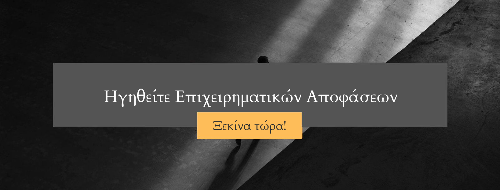 Ηγηθείτε Επιχειρηματικών Αποφάσεων